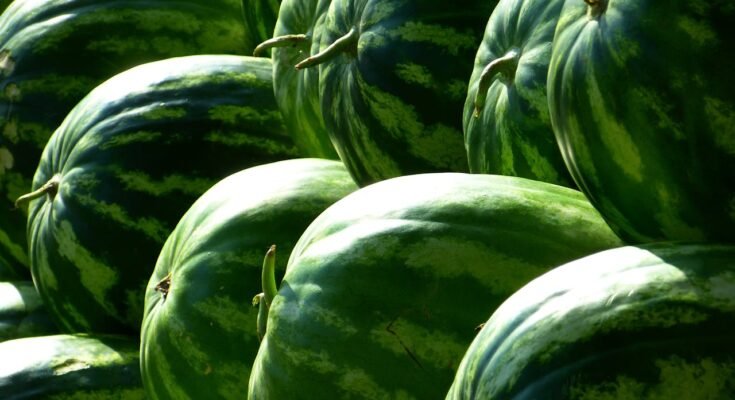 The Health Benefits of Watermelon
